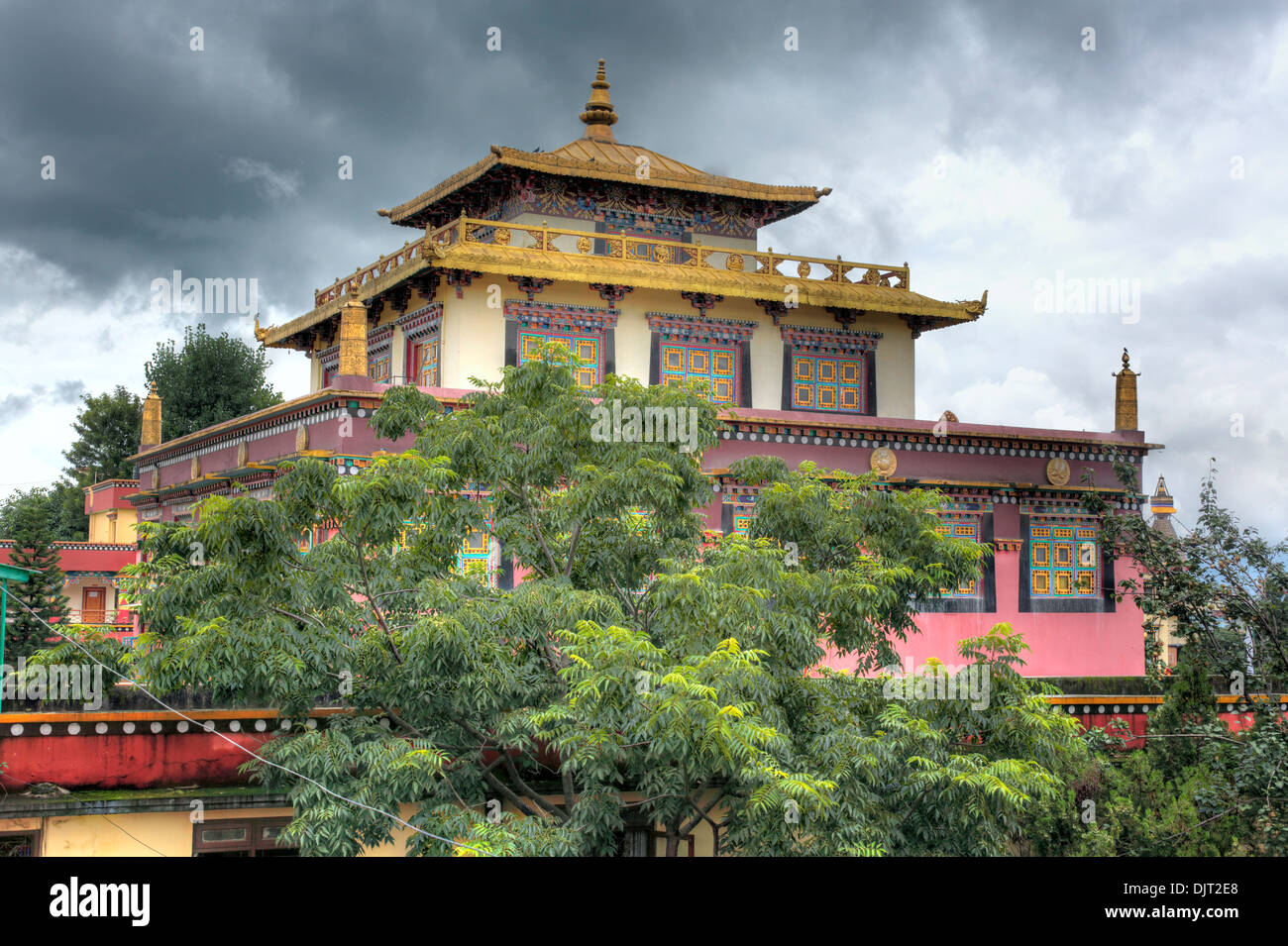 Shechen monastery tibetano, Kathmandu, Nepal Foto Stock