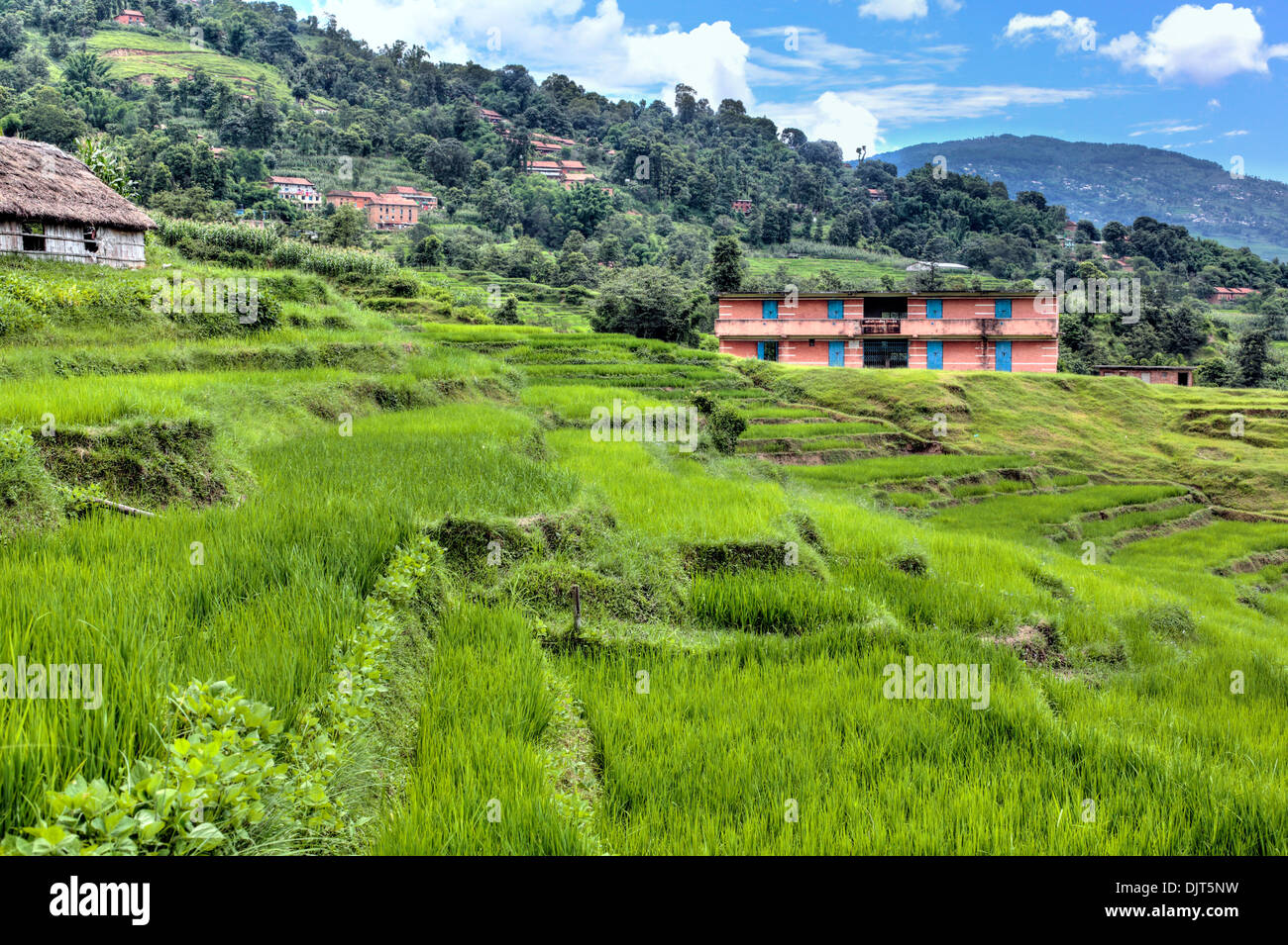 Valle di Kathmandu, Nepal Foto Stock