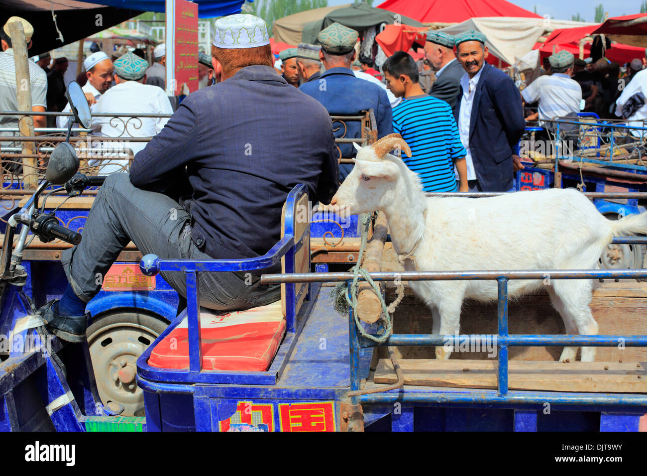 Mercato del Bestiame, Kashgar (Kashi), Kashgar Prefettura, Xinjiang Uyghur Regione autonoma, Cina Foto Stock