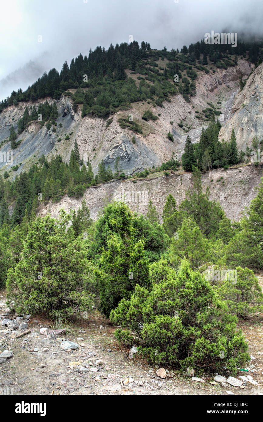 Kizilsu glacier park, Oytagh valley, Kizilsu Prefettura, Xinjiang Uyghur Regione autonoma, Cina Foto Stock