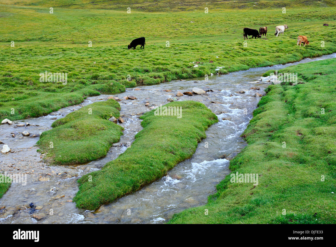 Tash Rabat valley, Naryn Oblast, Kirghizistan Foto Stock