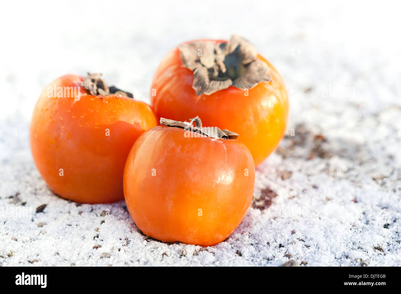 Tre efresh persimmons arancione sul bianco della neve, esterno Foto Stock