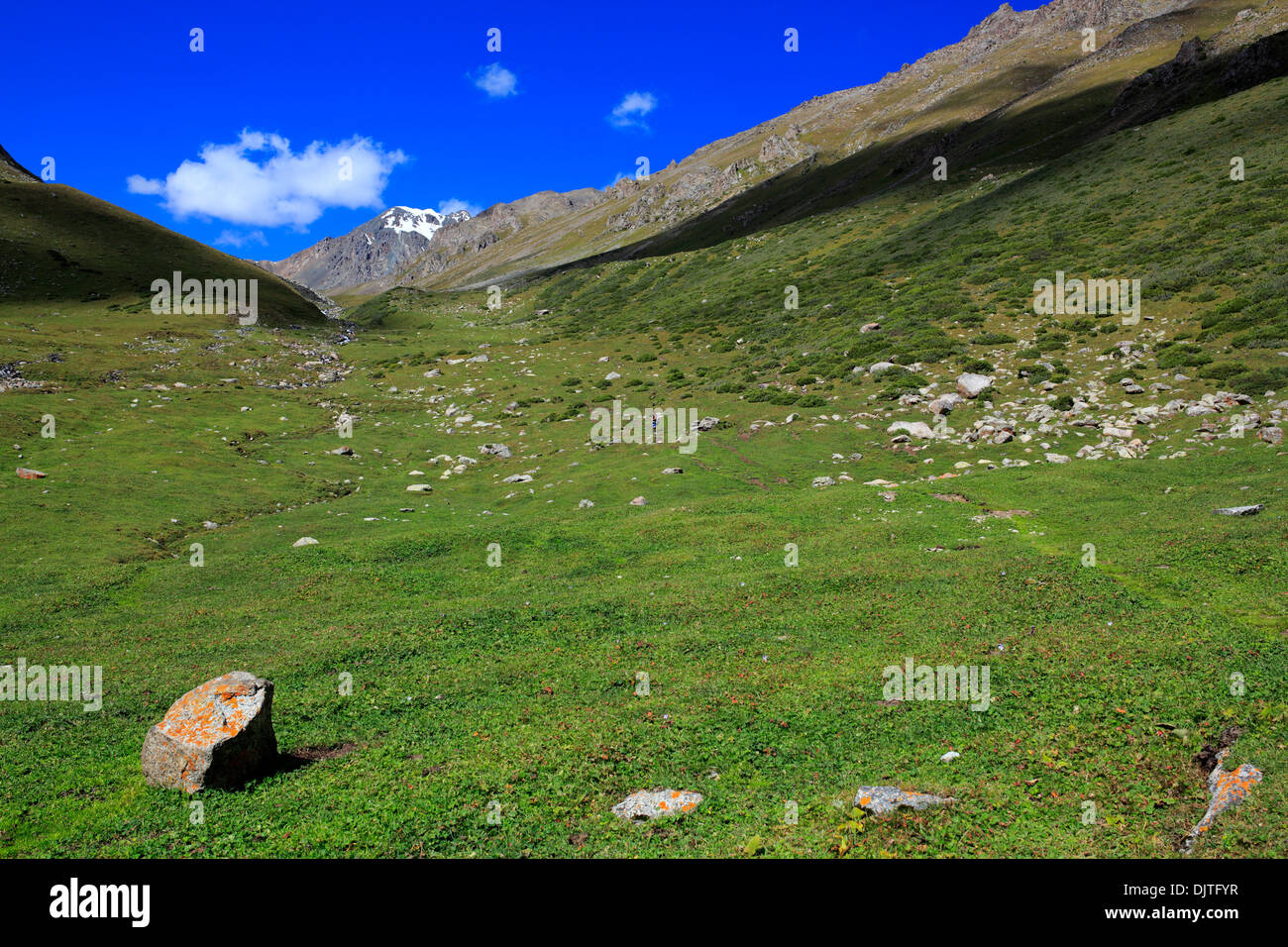 Altyn Arashan valley, Issyk Kul oblast, Kirghizistan Foto Stock