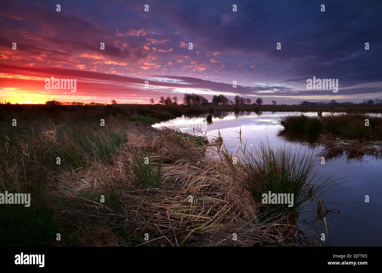 Drammatico tramonto su Swamp, Onlanden, Drenthe, Paesi Bassi Foto Stock