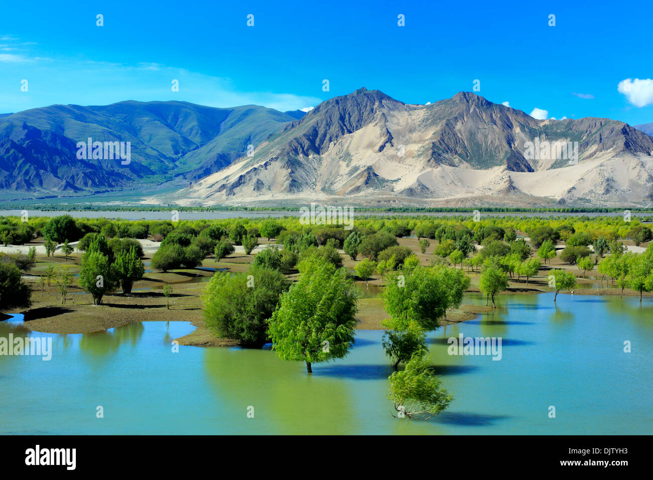 Yarlung Tsangpo (Brahmaputra) River Valley, tra Kamba pass e Tsetang, Lhoka (Shannan) Prefettura, Tibet, Cina Foto Stock