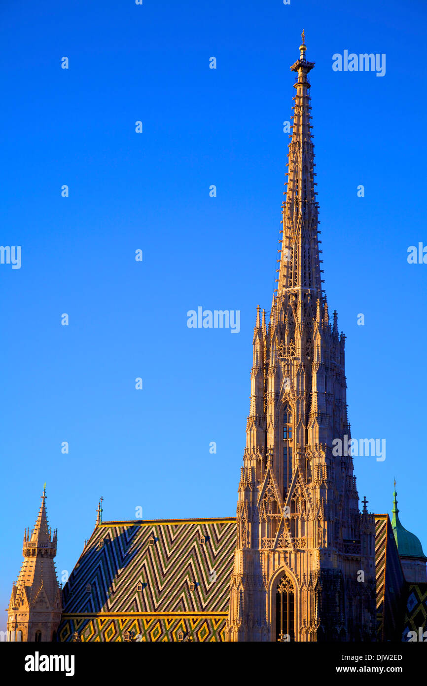 La cattedrale di Santo Stefano a Vienna, in Austria, Europa Centrale Foto Stock