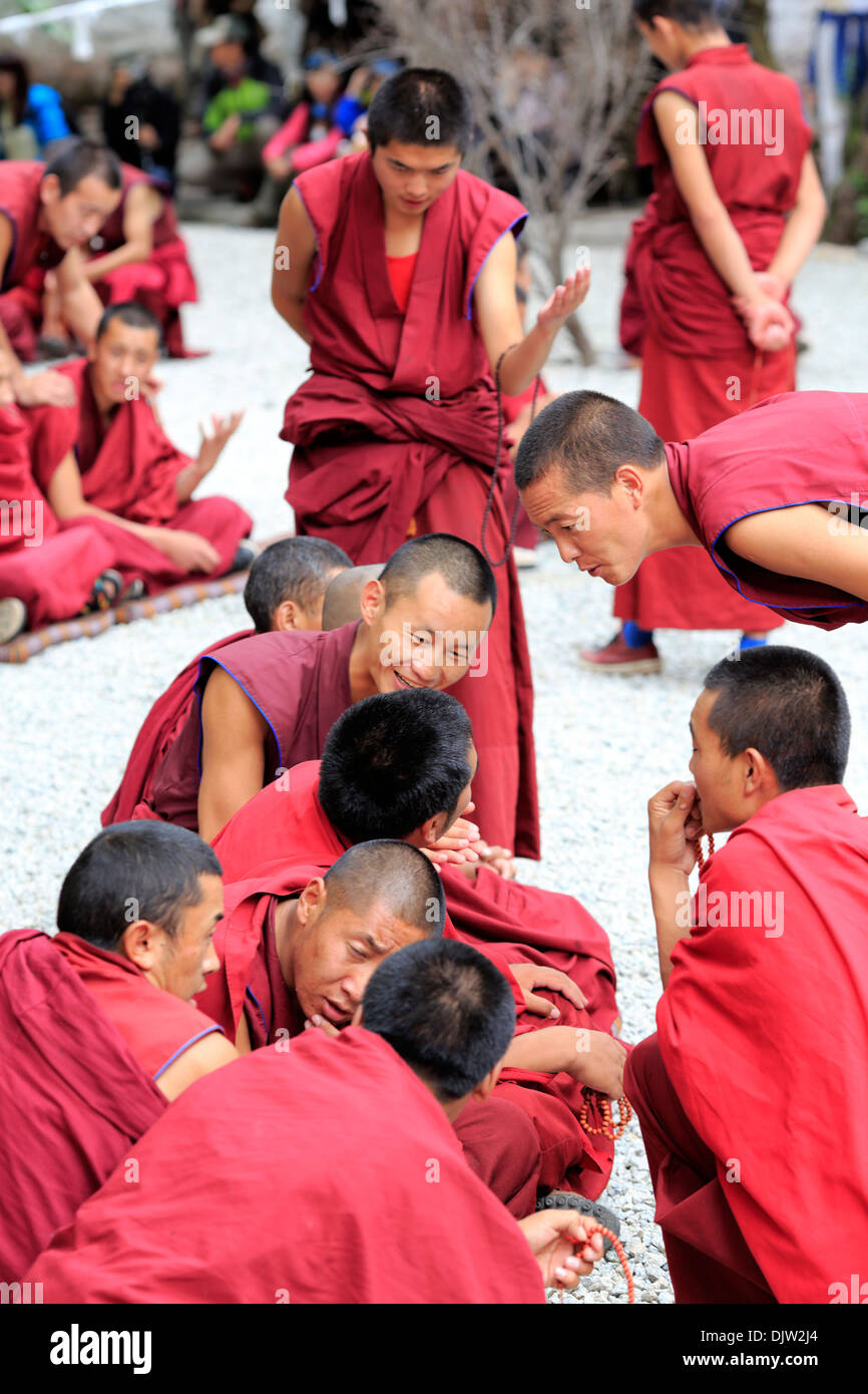 I monaci controversia, Monastero di Sera, Wangbur Mountain, Prefettura di Lhasa, in Tibet, in Cina Foto Stock