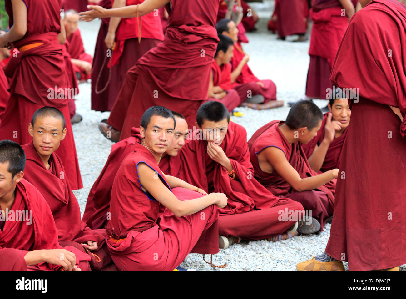 I monaci controversia, Monastero di Sera, Wangbur Mountain, Prefettura di Lhasa, in Tibet, in Cina Foto Stock