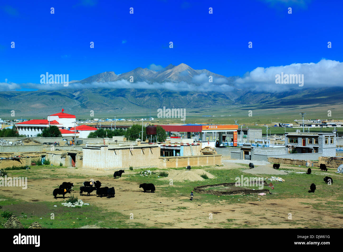 Il paesaggio visto dal treno della ferrovia Trans-Tibetan, Tibet, Cina Foto Stock
