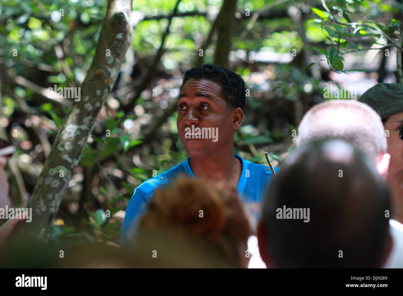 Leandro Jimenez, la guida del tour, spiega in che modo le mangrovie crescere nel Parco Nazionale Los Haitises, Repubblica Dominicana Foto Stock