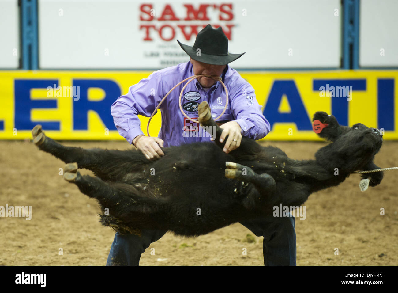 Dicembre 3, 2010 - Las Vegas, Nevada, Stati Uniti d'America - Tie-down roper Jerome Schneeberger di Ponca City, OK mettere un tempo di 7.80 durante la seconda go-round a 2010 Wrangler National Finals Rodeo al Thomas & Mack Center. Schneeberger quarto piazzato in go-round e prelevato un assegno per $7,343.75. (Credito Immagine: © Matt Cohen/Southcreek globale/ZUMAPRESS.com) Foto Stock