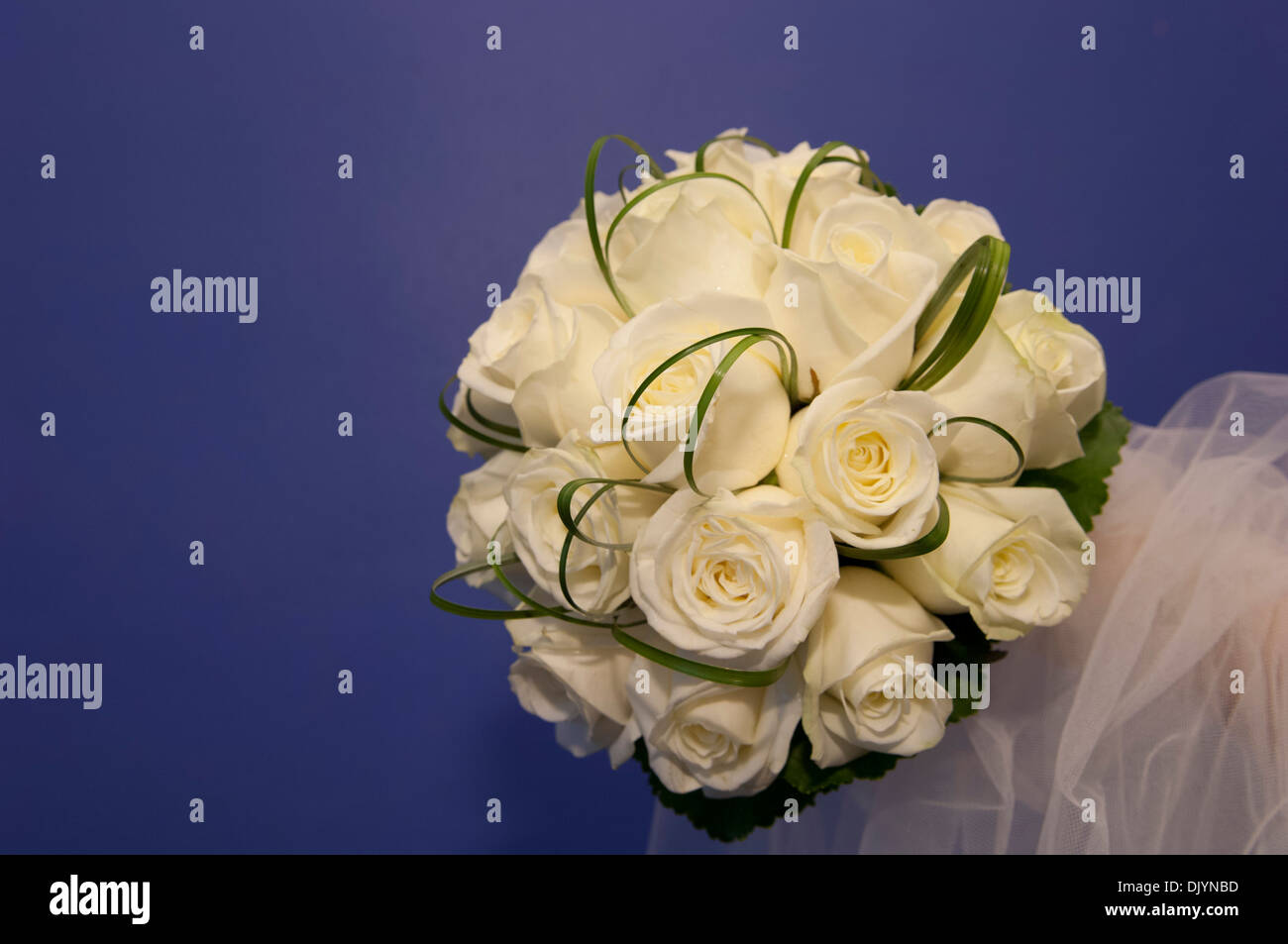 Wedding rose con cristalli Swarovsky Foto Stock