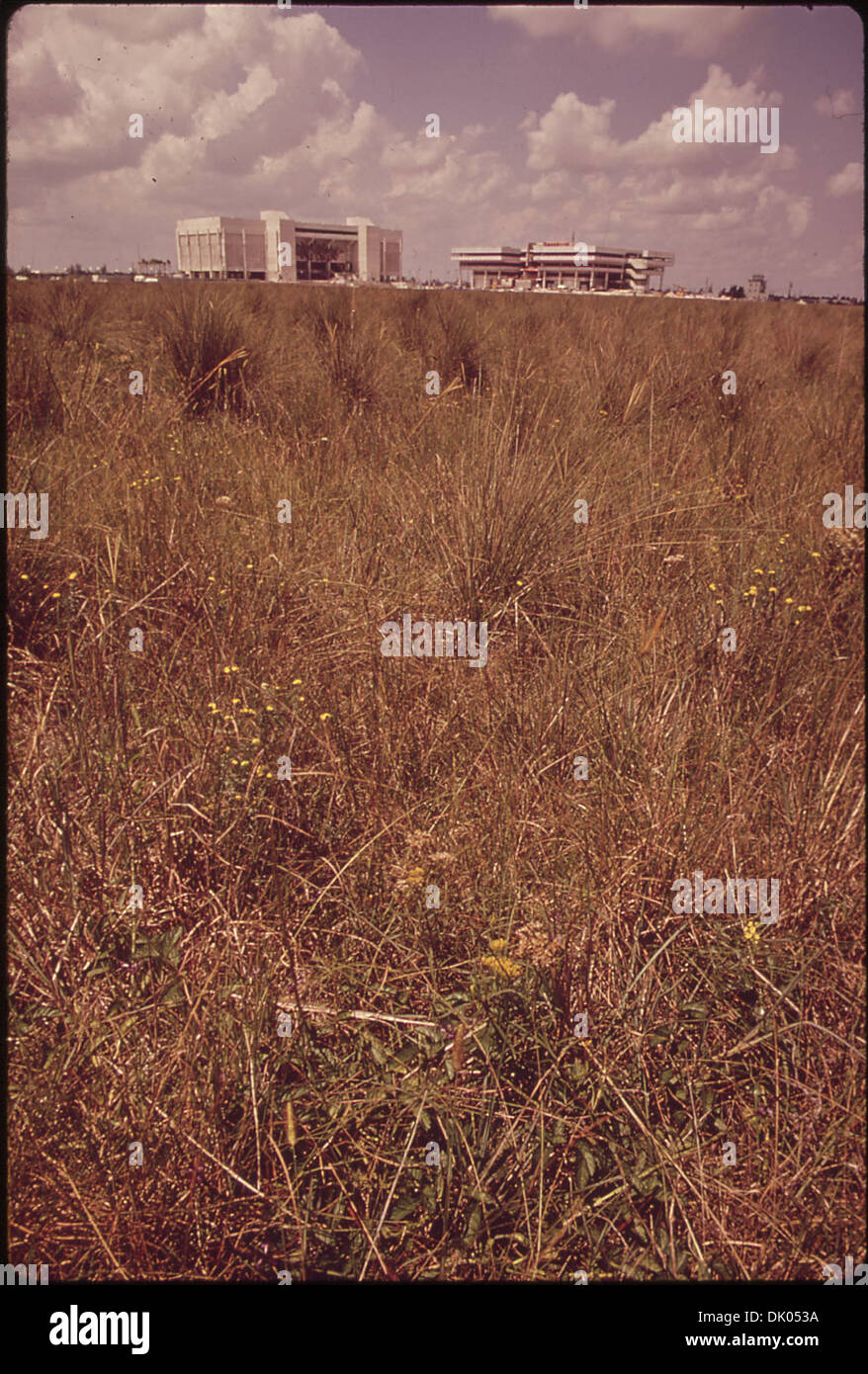 La Florida International University, situata lungo il Tamiami Trail (U.S. 41), è una delle principali università pubbliche di ricerca di Miami, Florida. L'università offre un'ampia gamma di programmi accademici ed è un centro di ricerca, istruzione e coinvolgimento della comunità. Foto Stock