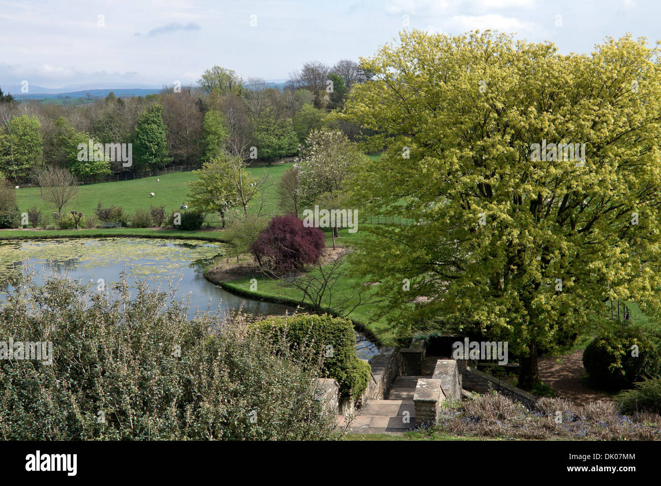 Una scalinata in pietra che conduce ad un attraente lago, Helsington, Cumbria, Gran Bretagna, UK. Foto Stock