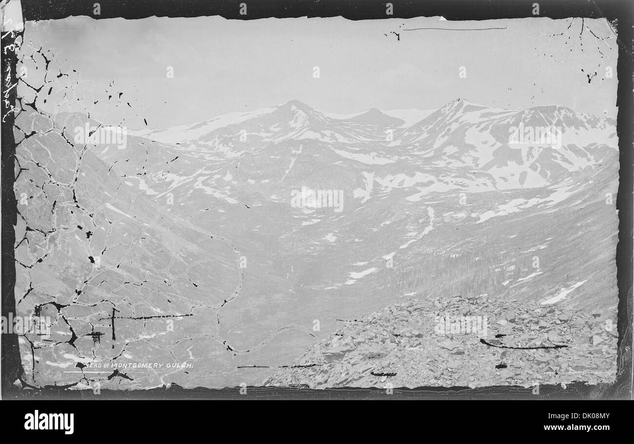 Il capo di Montgomery Gulch nella Park County, Colorado, è una valle panoramica circondata da terreni accidentati. Offre vedute pittoresche del paesaggio montuoso circostante. Foto Stock