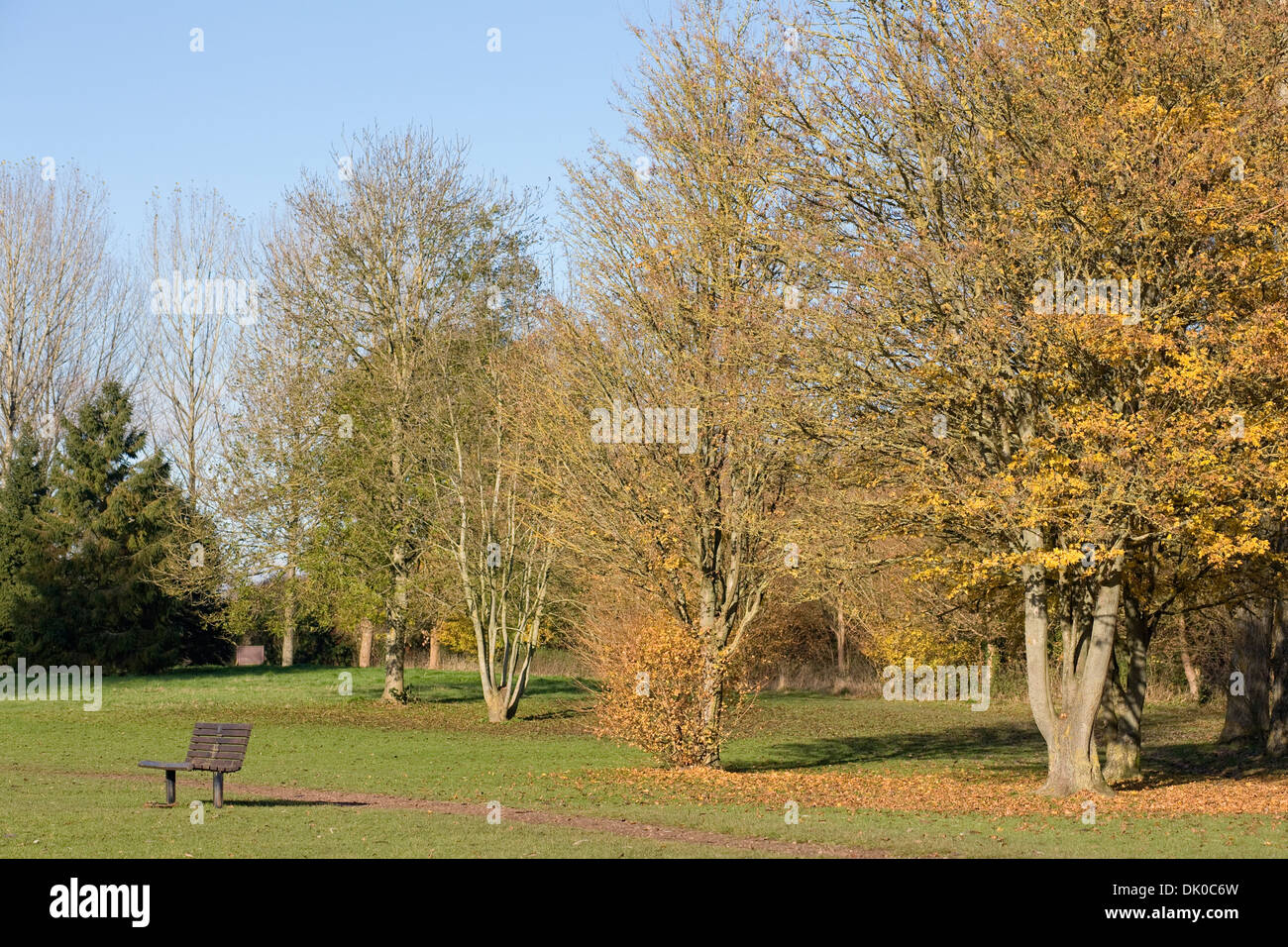 Percorso attraverso un parco inglese nel tardo autunno. Foto Stock