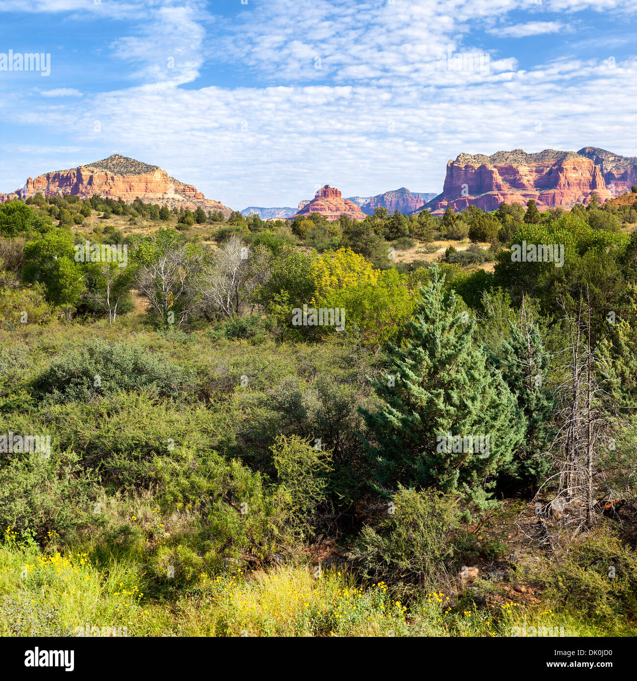 Vista di Red Rock Landscape, Sedona, in Arizona Foto Stock