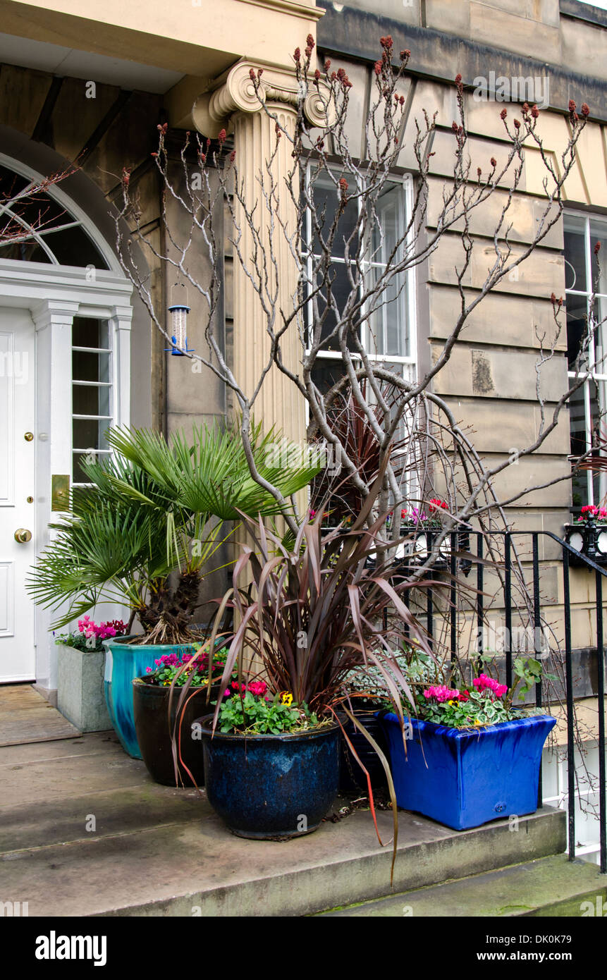 Alcuni colori invernali sulla soglia di una residenza nella zona nuova di Edinburgo. Foto Stock