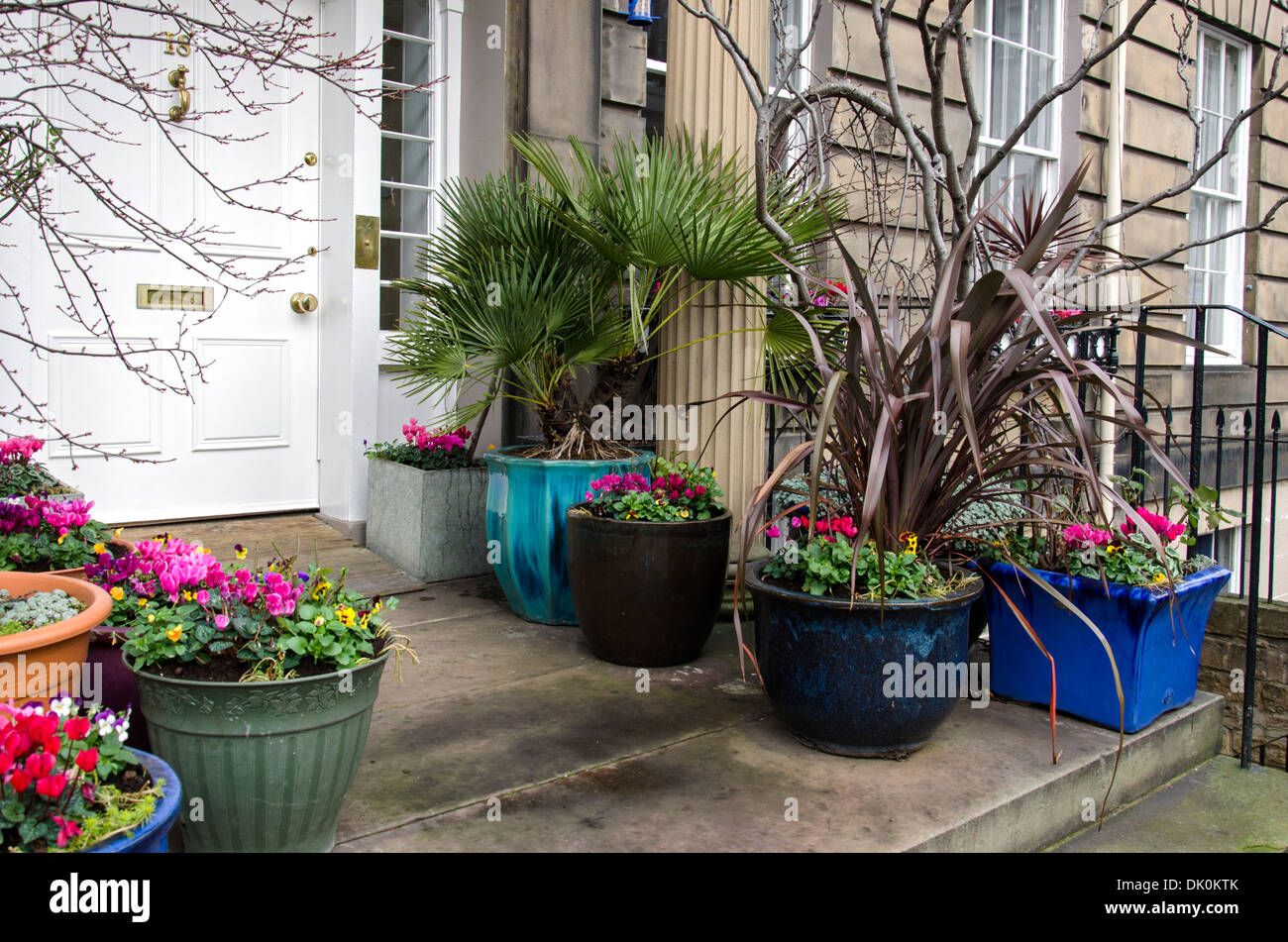 Alcuni colori invernali sulla soglia di una residenza nella zona nuova di Edinburgo. Foto Stock