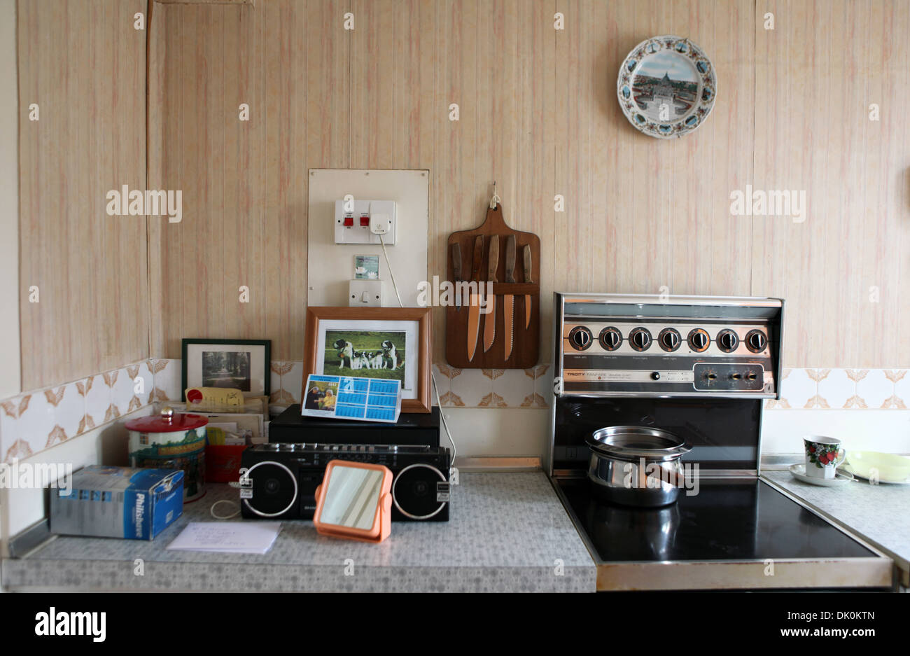 Eddie O'Mahony la cucina, nella sua casa prefabbricate in Catford. Egli è stato liviing nella sua casa prefabbricate fin dal 1946 e combatte per salvarlo. Foto Stock
