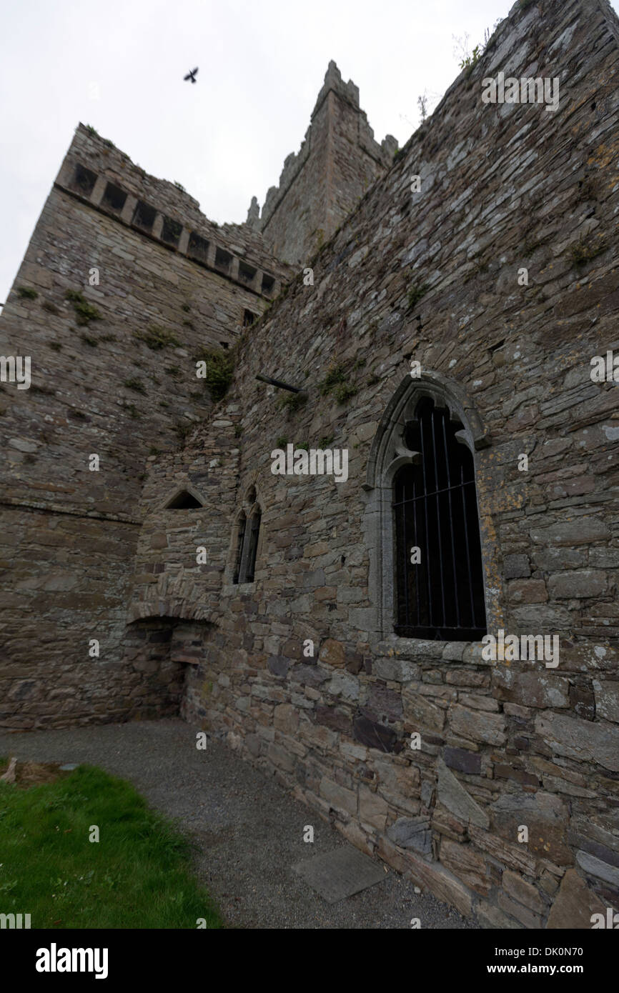 Abbazia di Jerpoint è una rovina abbazia cistercense, fondata nella seconda metà del XII secolo. L'Irlanda Foto Stock