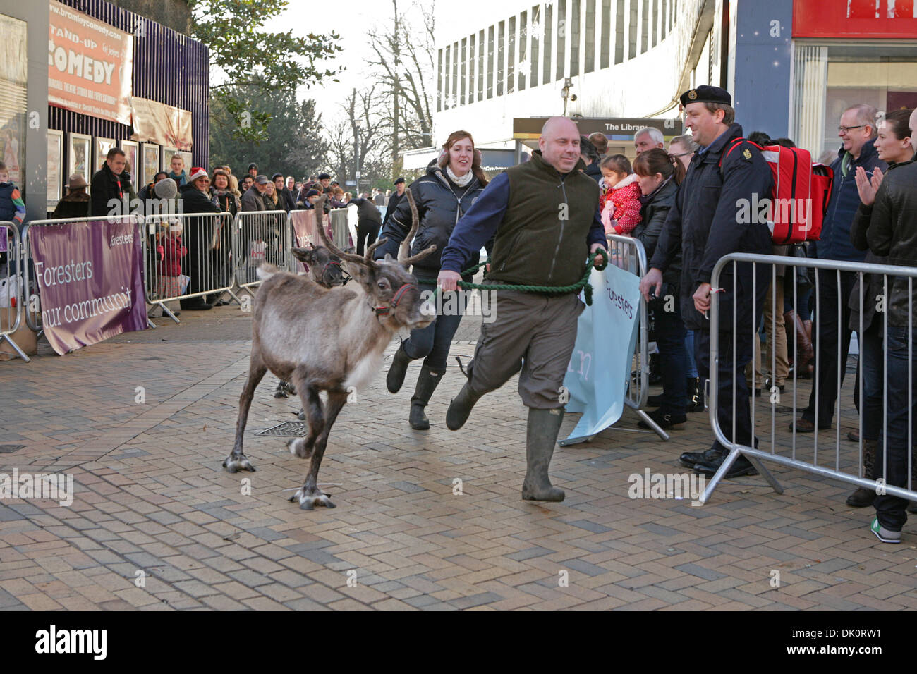 Bromley, Regno Unito. 1 Dic 2013. Le renne in esecuzione a Bromley High Street. Credito: Keith Larby/Alamy Live News Foto Stock