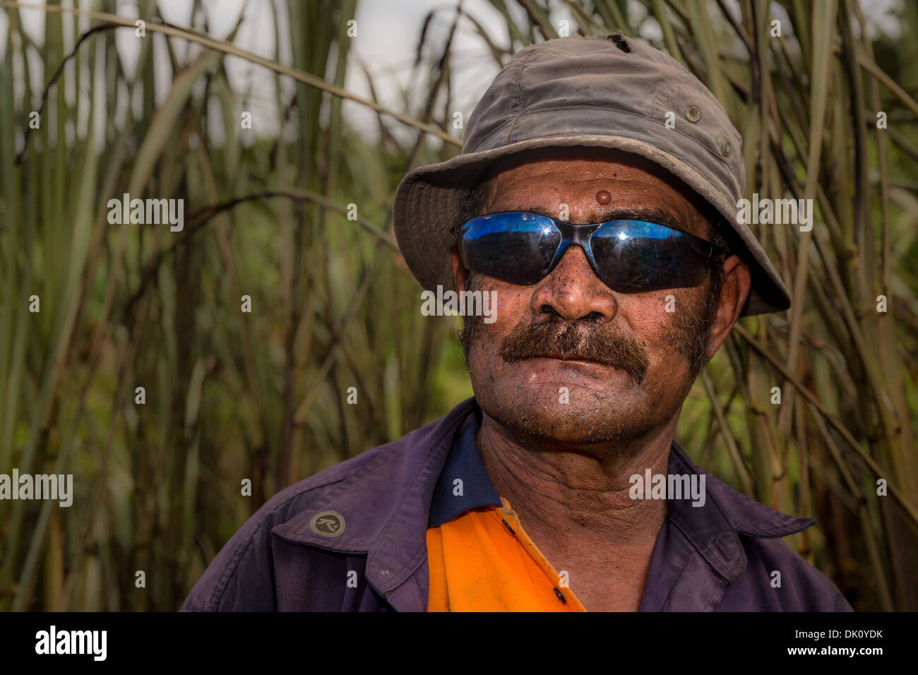 Agricoltore lavora in una canna da zucchero campo, Sigatoka, Viti Levu, Figi, Oceania Foto Stock