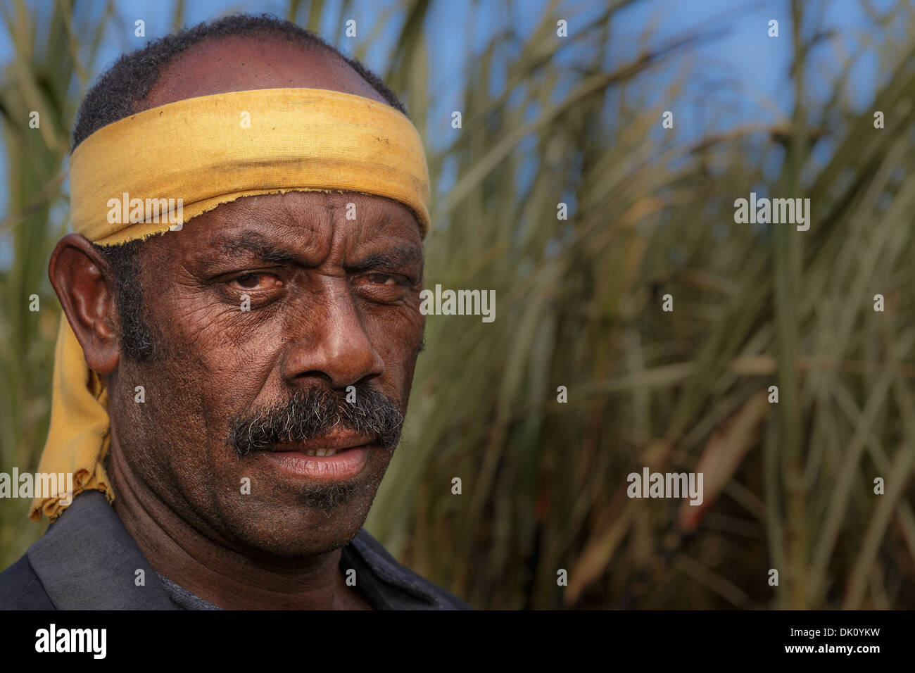 Lavoratore agricolo interessato su un campo di canna da zucchero, Sigatoka, Viti Levu, Isole Figi Foto Stock
