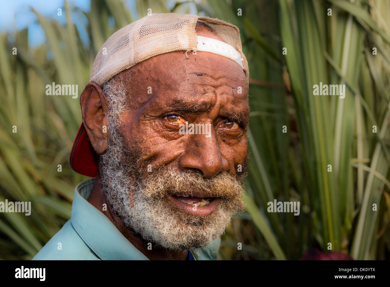 Lavoratore agricolo interessato su un campo di canna da zucchero, Sigatoka, Viti Levu, Isole Figi Foto Stock