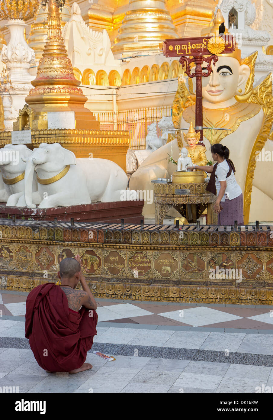 Monaco medita nel Shwe Dagon Pagoda Foto Stock