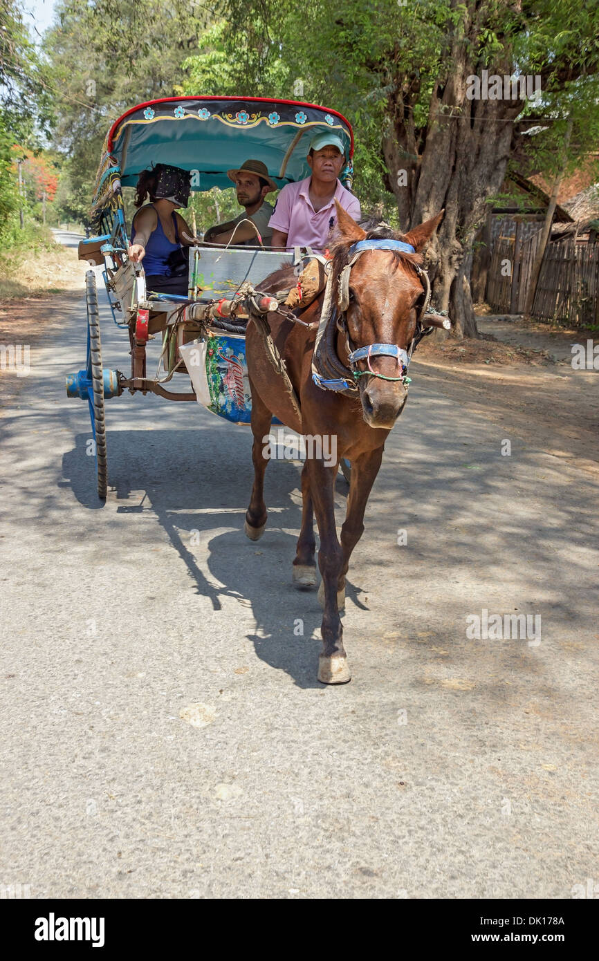 Tradizionale carrozza trainata da cavalli all'Ava Foto Stock