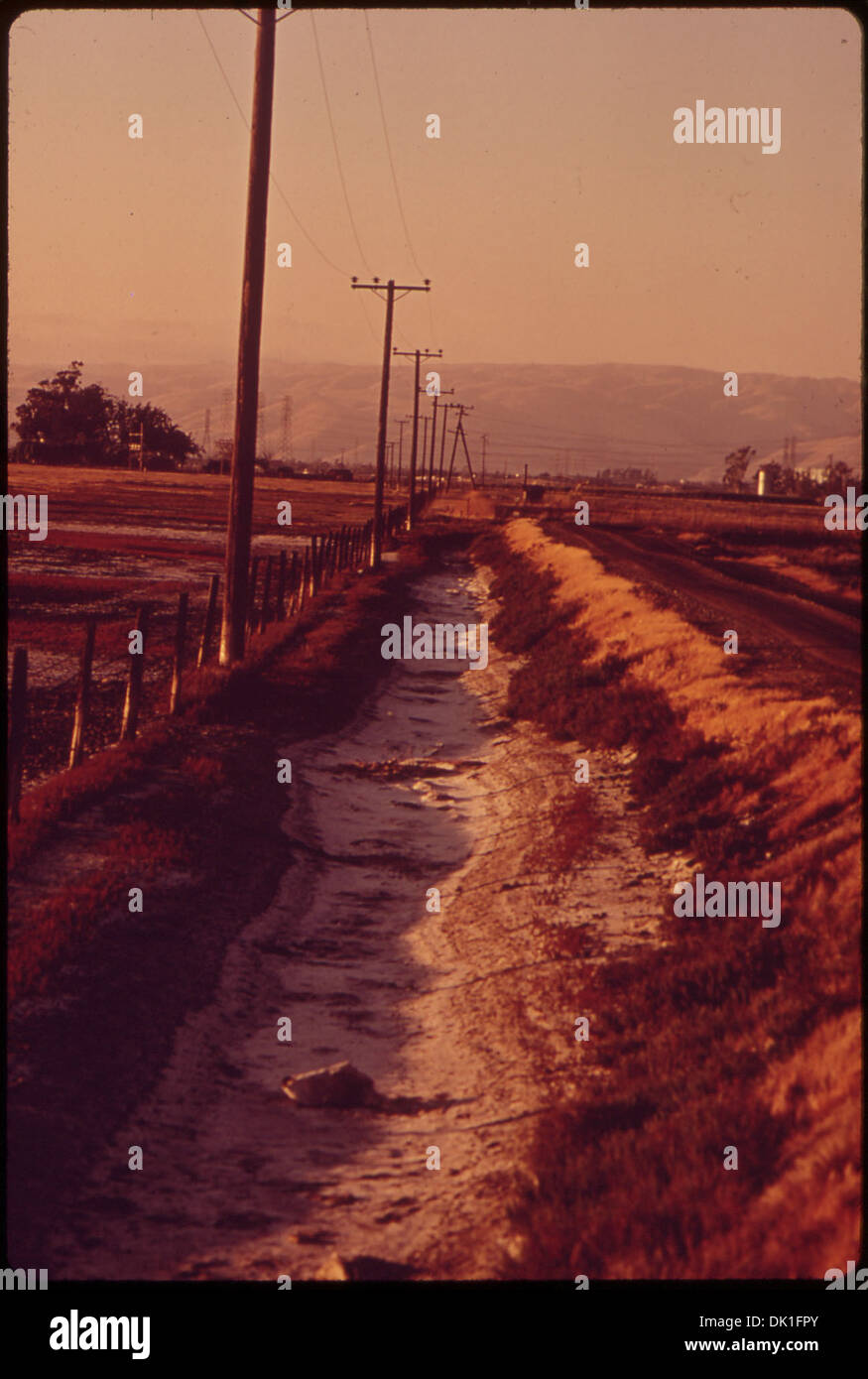 Questa fotografia mostra una linea di pali telefonici che si estendono verso colline lontane. L'immagine cattura l'impatto visivo dell'infrastruttura dei servizi pubblici nei paesaggi rurali. Foto Stock