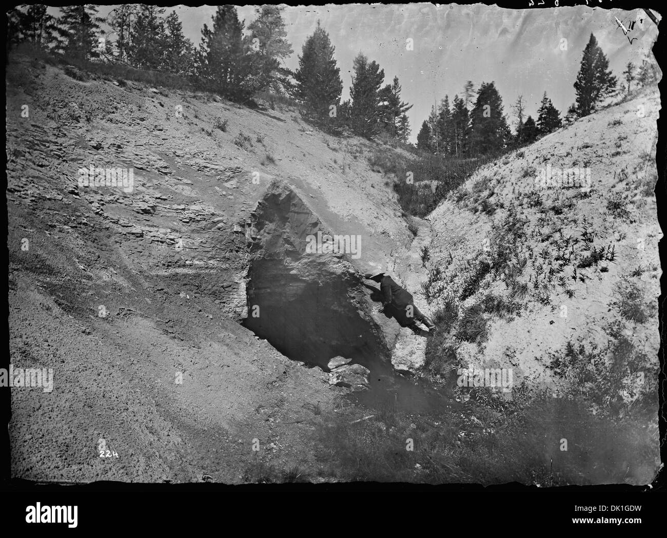 La Grotto Spring, situata a circa tre chilometri sopra Crater Hills nel parco nazionale di Yellowstone, è una caratteristica geotermica notevole nel parco. Foto Stock