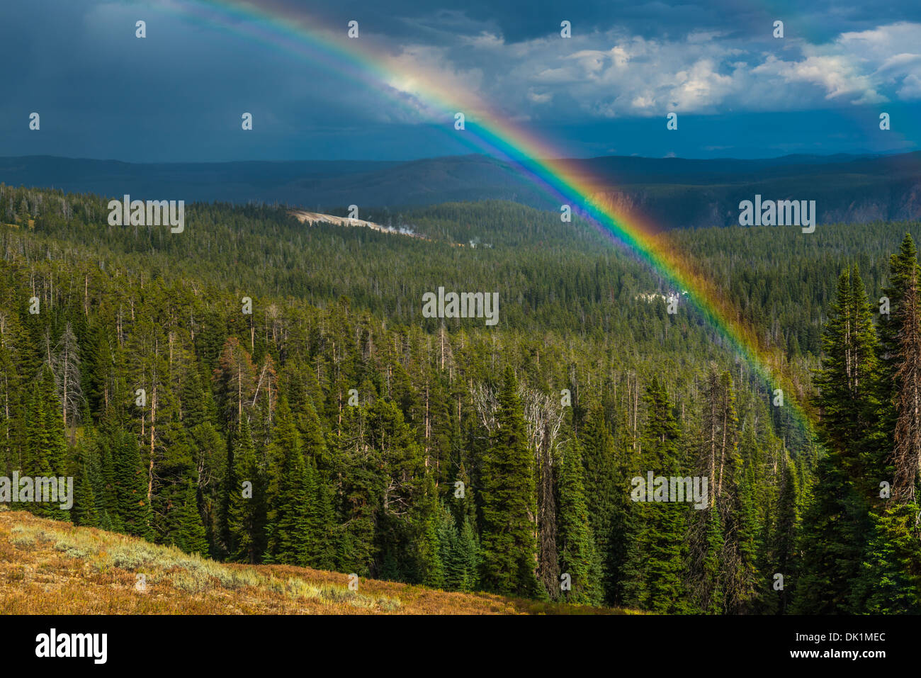 Un arcobaleno compare dopo un improvviso temporale pomeridiano è sceso il lato est del Parco Nazionale di Yellowstone Foto Stock