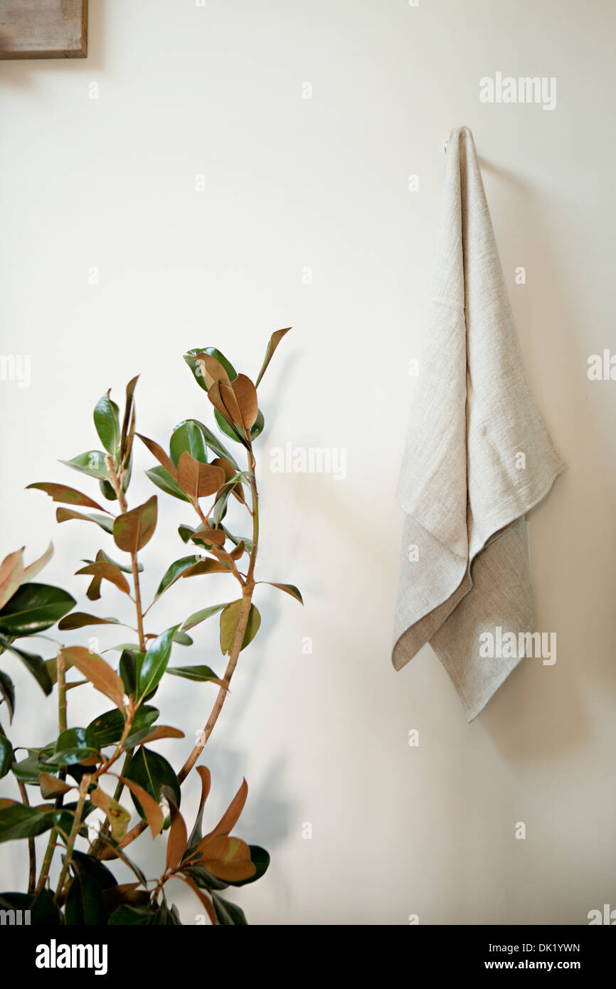 Asciugamano bianco appeso nel bagno accanto agli impianti Foto Stock