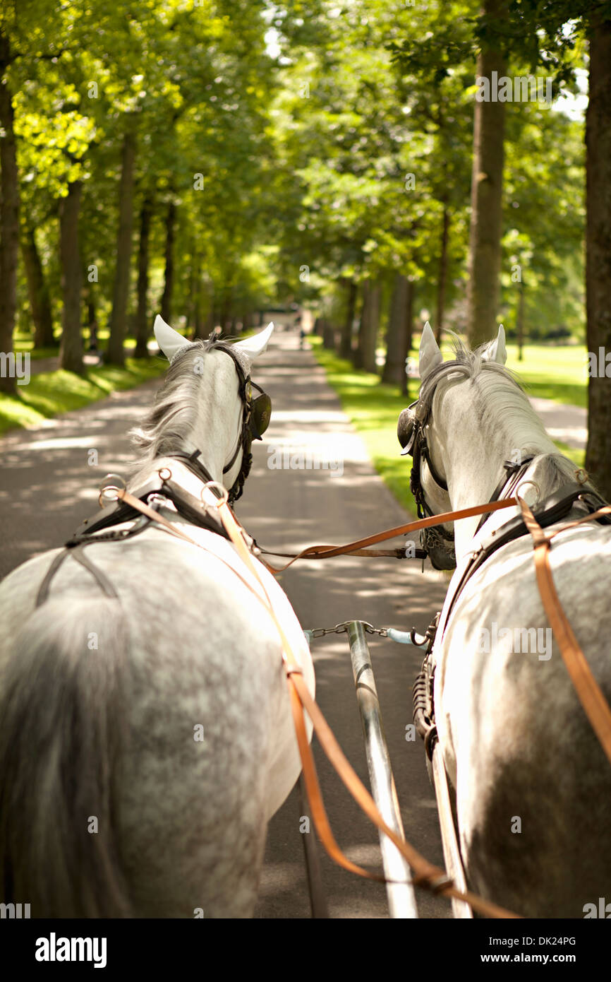 Carro trainato da cavalli in movimento lungo la corsia orlate da alberi, Lichtentaler Allee, Baden-Baden, Germania Foto Stock