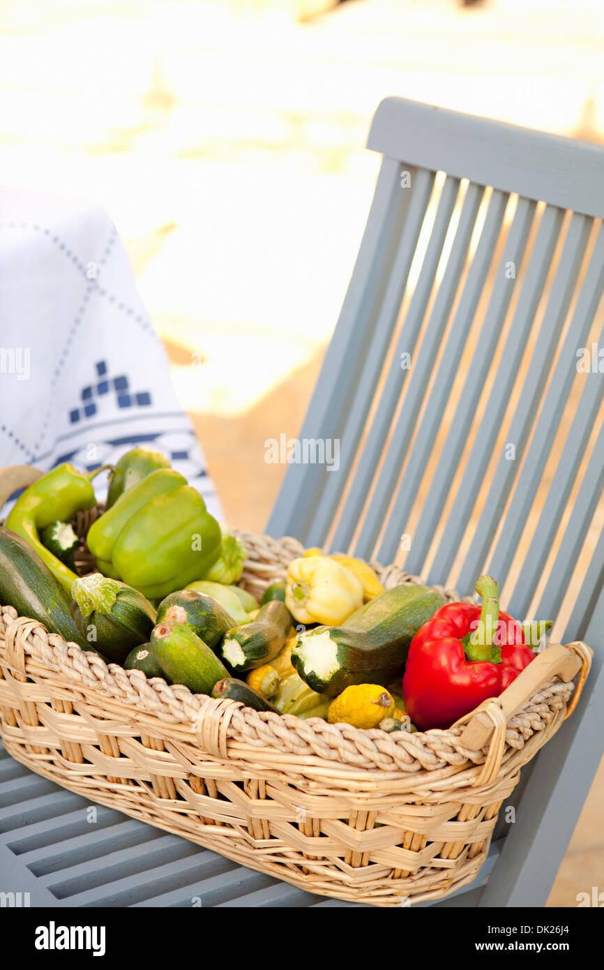 Angolo di alta vista della varietà di Organici ortaggi raccolti nel cestello sul patio blu sedia Foto Stock