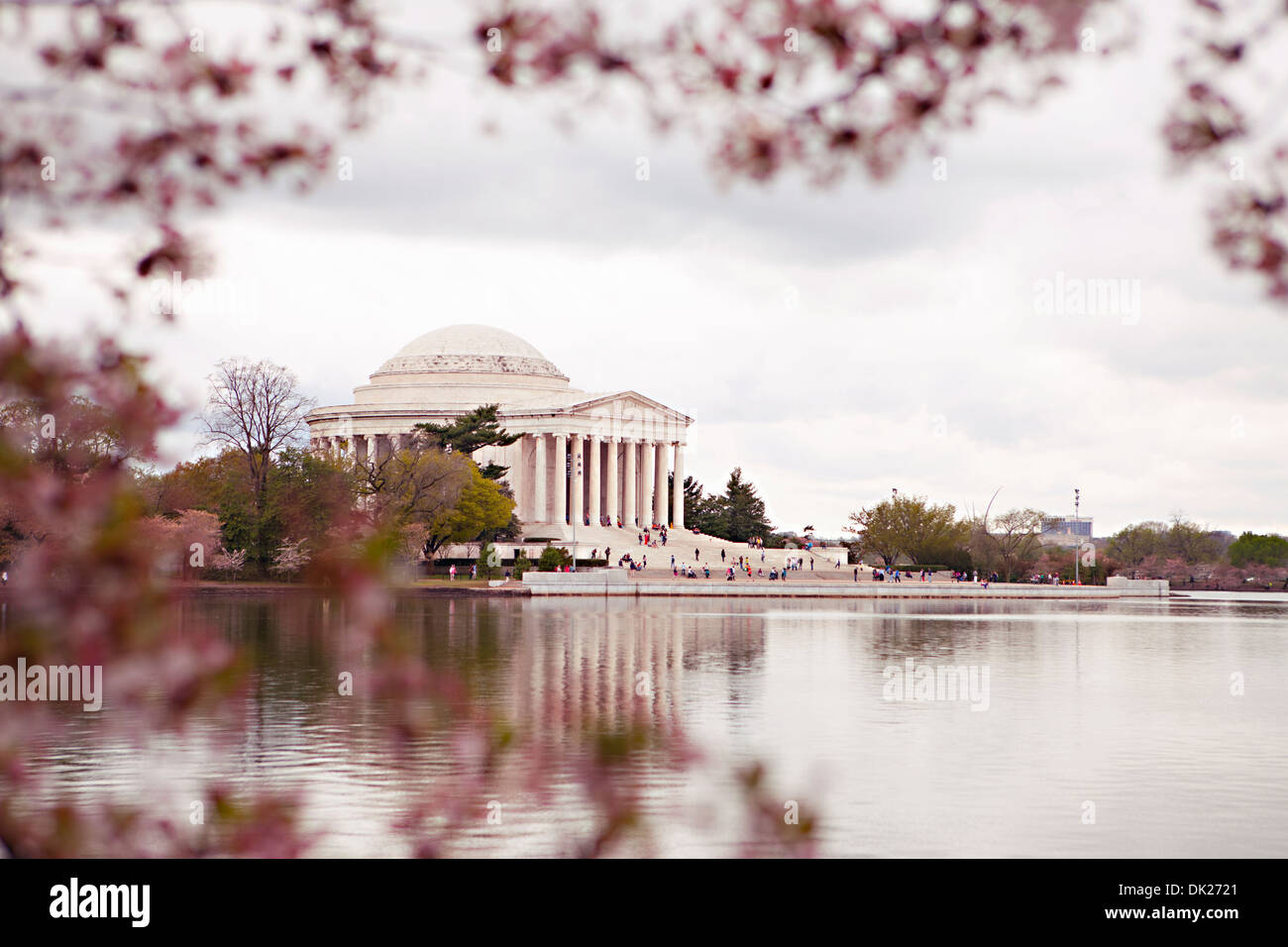 Rosa fiori di ciliegio inquadratura vista di 'Jefferson Memorial', Washington D.C., Stati Uniti Foto Stock