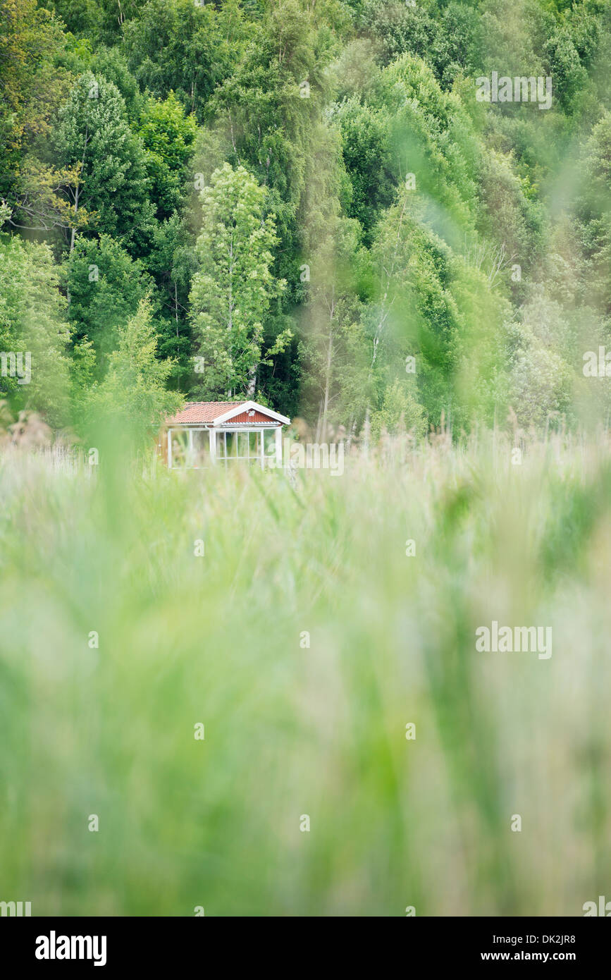 Rosso piccolo cottage isolato nella lussureggiante foresta verde, Svezia Foto Stock
