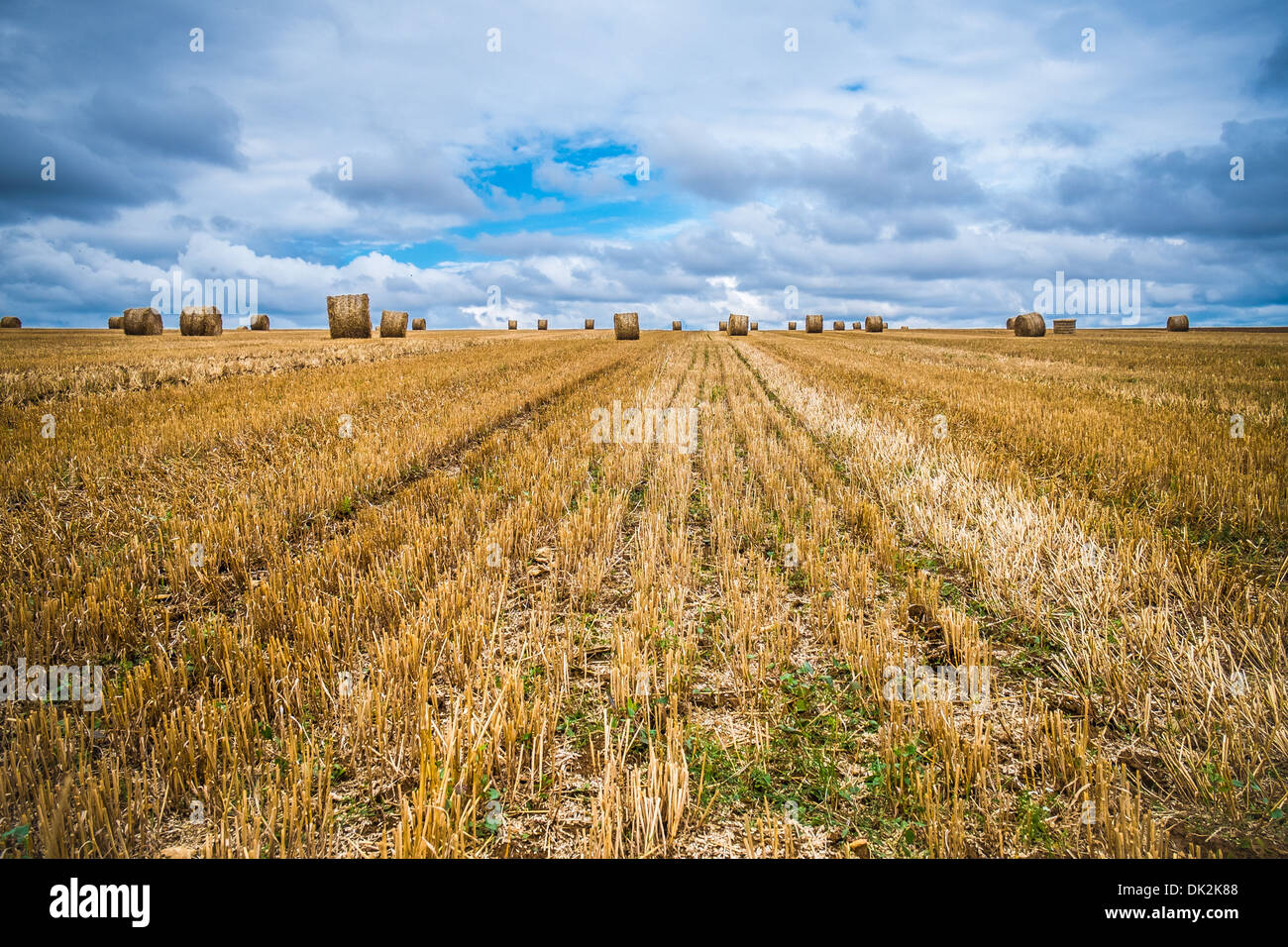 Terra di covoni nella campagna francese Foto Stock