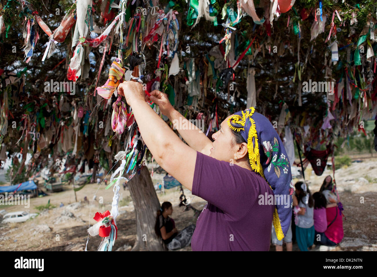Alevi persone nastri di legatura su un desiderio di albero in Tekke Abdal Köyü Musa Santuario Elmalı Turchia Antalya Foto Stock