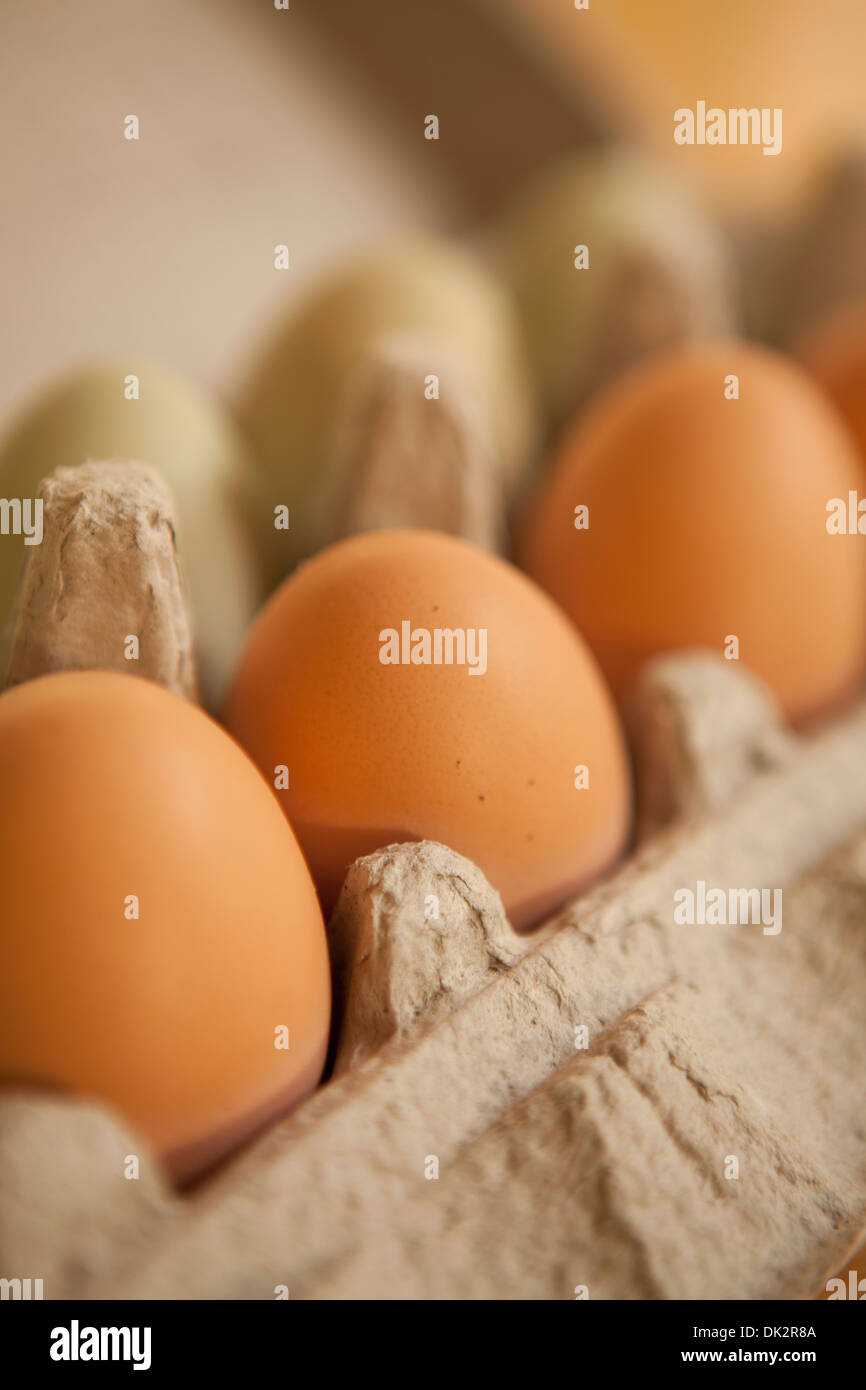 Close up organica marrone uova in cartone Foto Stock