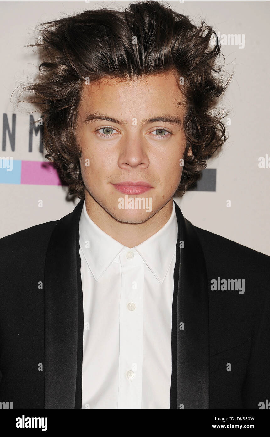 Una direzione cantante Harry stili nel novembre 2013. Foto di Jeffrey Mayer Foto Stock