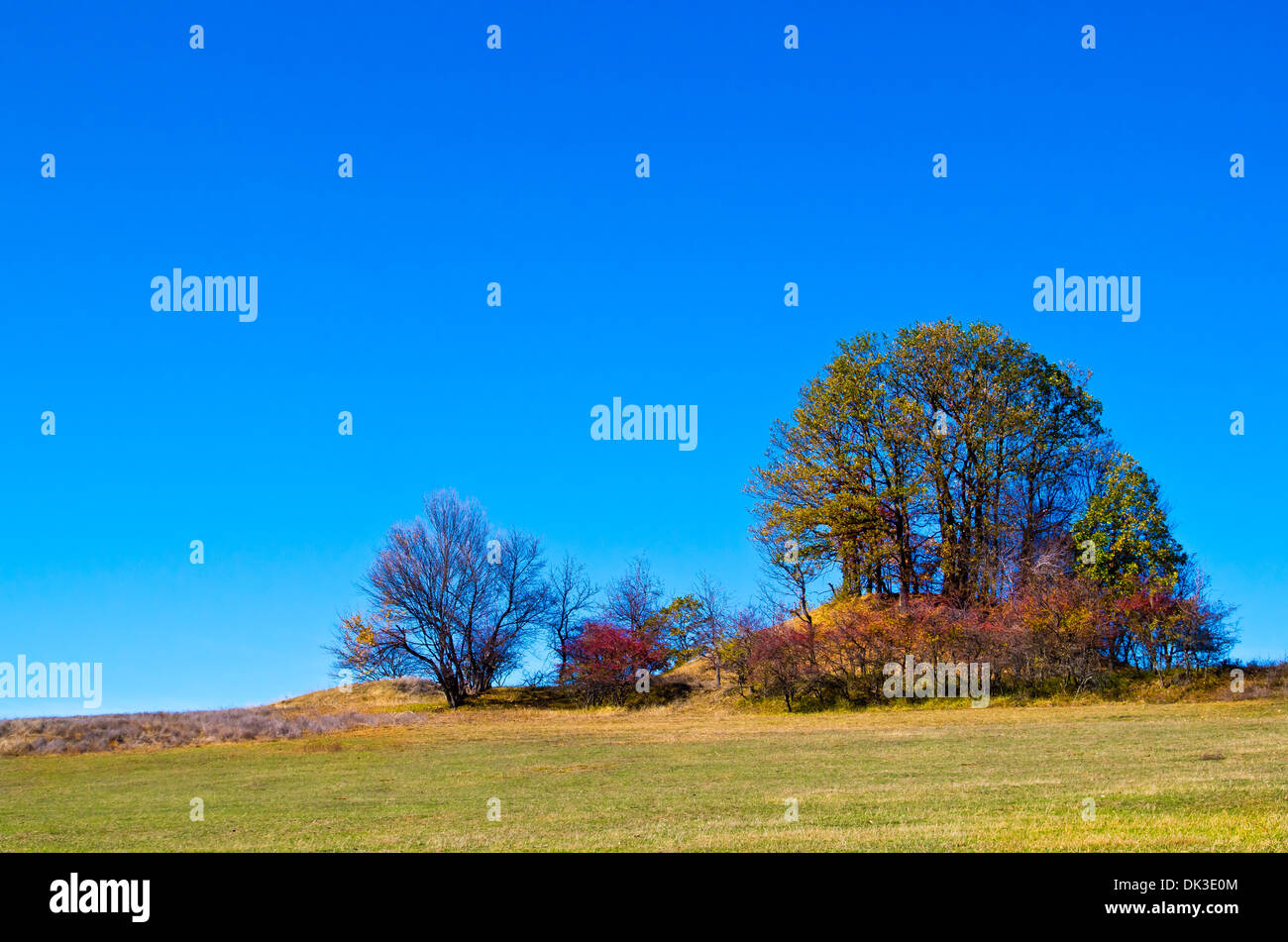 Paesaggio autunnale - Stara Planina Balcani, Bulgaria, Europa Foto Stock