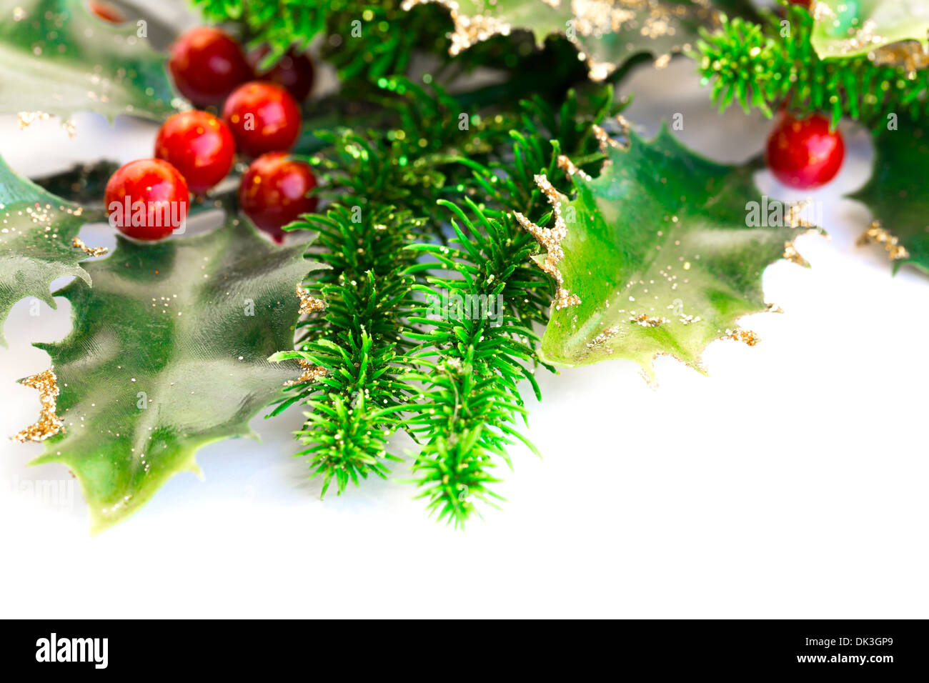 Holly berry pianta con bacche di colore rosso su sfondo bianco, decorazione di Natale. Foto Stock