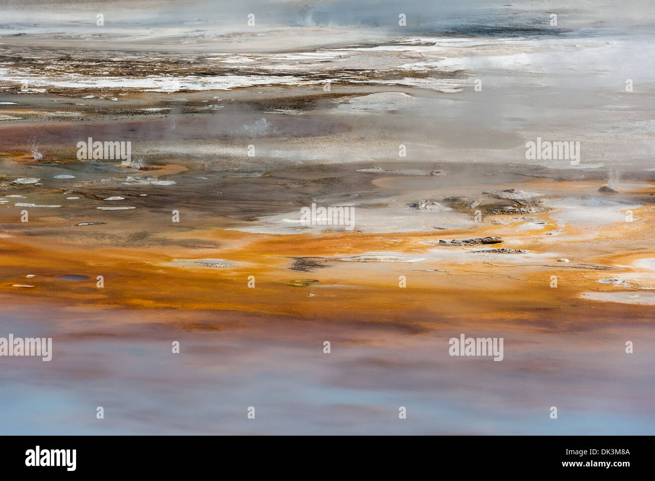 Fotografia di paesaggio e caratteristiche termiche della porcellana bacino. Parco Nazionale di Yellowstone, Wyoming. Foto Stock