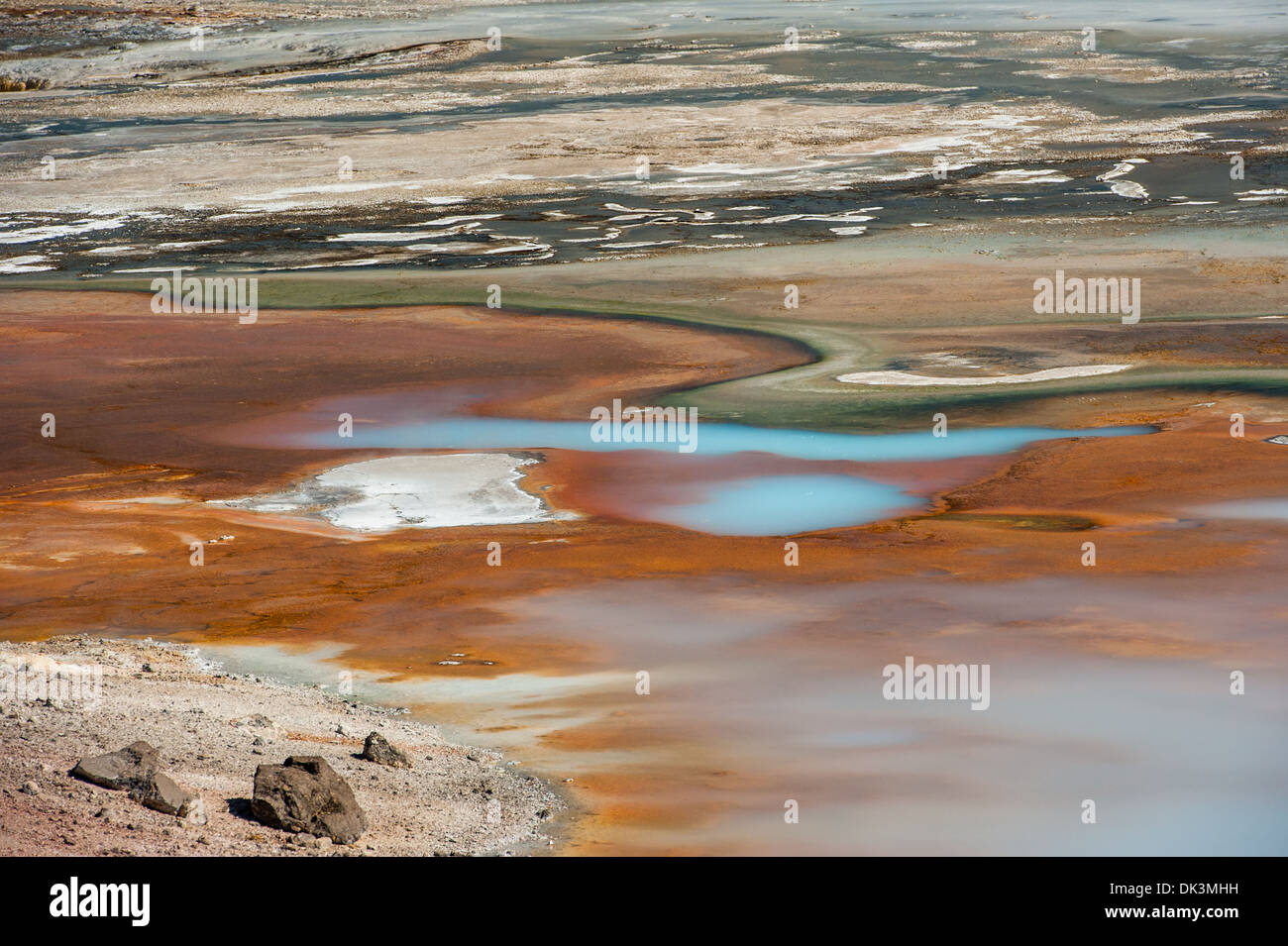 Fotografia di paesaggio e caratteristiche termiche della porcellana bacino. Parco Nazionale di Yellowstone, Wyoming. Foto Stock