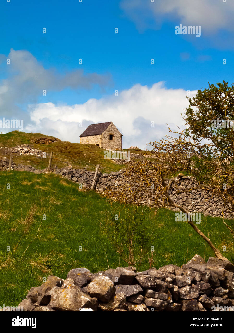 Tradizionale campo fienile con stalattite muro fatto di calcare nei pressi di Wirksworth nel Derbyshire Dales Peak District Inghilterra REGNO UNITO Foto Stock