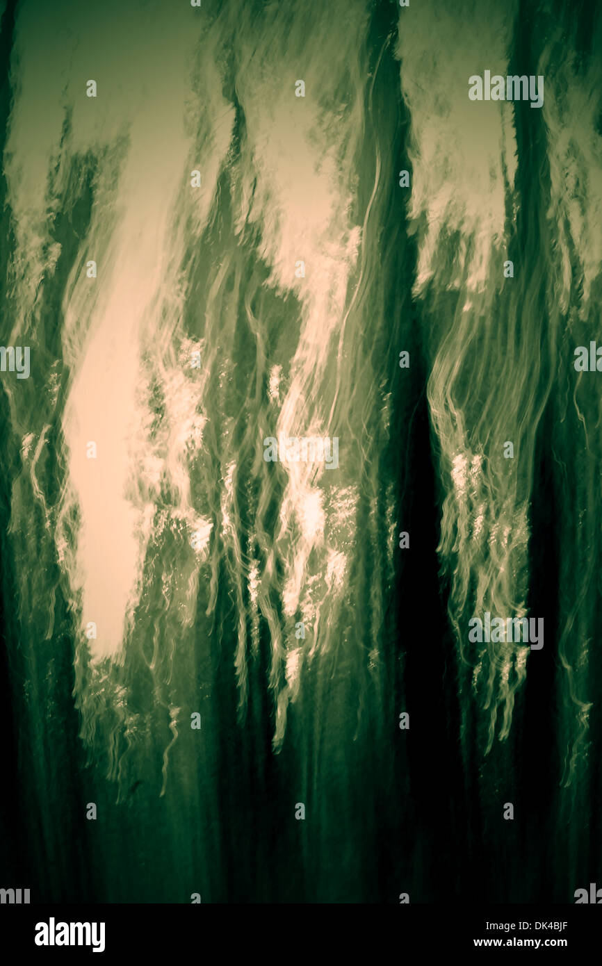 Immagine astratta di alberi in serata in profondità il legno Foto Stock