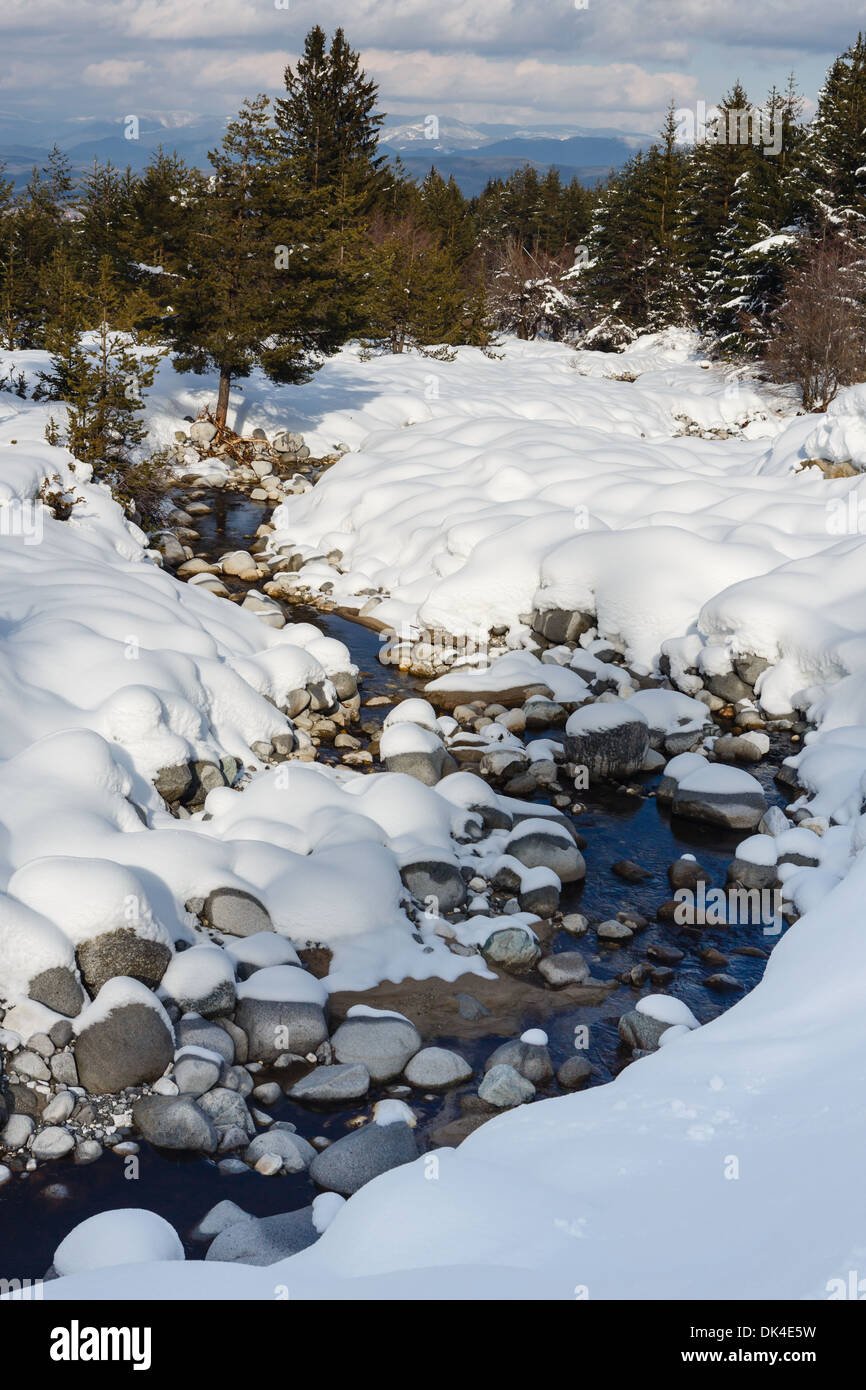 Ruscello di montagna che scorre fra le pietre coperte di neve Foto Stock